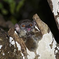 2015-04-20 10-03-54