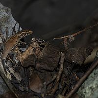 2015-04-20 12-18-42-2