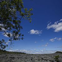 2015-04-20 12-33-20