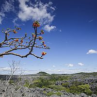 2015-04-20 12-41-24