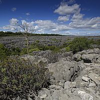 2015-04-20 12-59-27