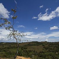 2015-04-15 10-53-25