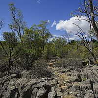 2015-04-20 13-15-01