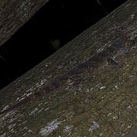 2015-04-20 15-50-34