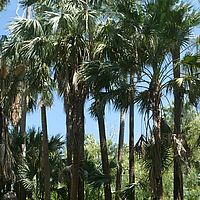 2008-10-24 14-06-49