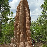 2008-10-25 11-40-07