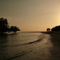 2008-10-25 18-01-49