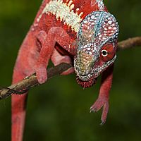 2015-04-15 11-50-14