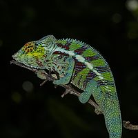 2015-04-15 12-55-04