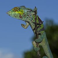 2015-04-15 12-55-45