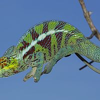2015-04-15 12-59-46