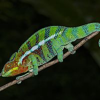 2015-04-15 14-05-26