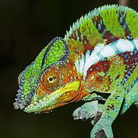 2015-04-15 14-07-46
