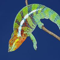 2015-04-15 14-11-00