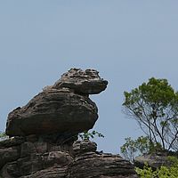 2008-10-28 11-54-44