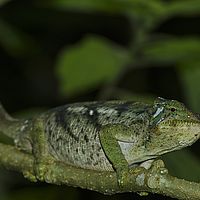 2015-04-22 10-26-37