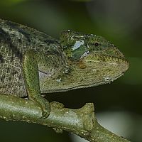 2015-04-22 10-28-54