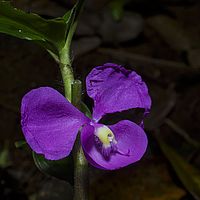 2015-04-22 10-35-46