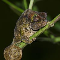 2015-04-23 10-09-09-2