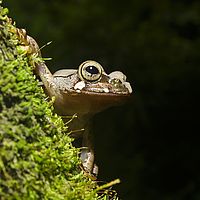 2015-04-23 11-34-34