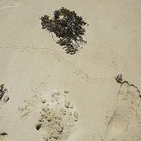 2015-04-25 11-53-24