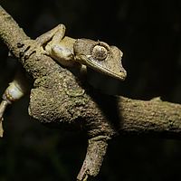 2015-04-23 12-13-31
