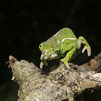 2015-04-23 12-15-30