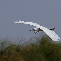 2013-09-21 10-43-06-3