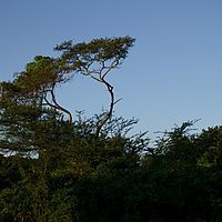 2012-05-04 16-08-36