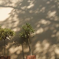 2012-05-06 08-32-57
