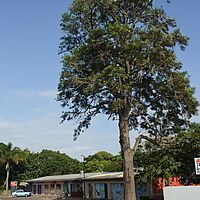2012-05-06 09-46-52