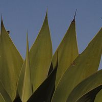 2012-05-01 14-49-18