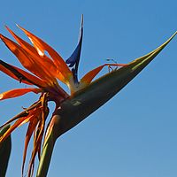 2012-05-01 14-53-12