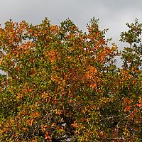 2012-05-02 08-35-21