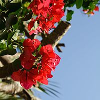 2012-05-04 15-26-40