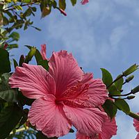 2012-05-06 09-22-04