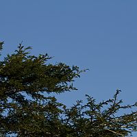 2012-05-08 16-03-35