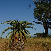2012-05-10 07-53-18
