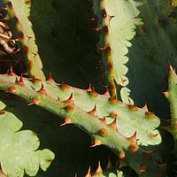 2012-05-10 07-53-46