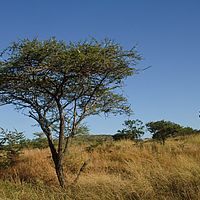 2012-05-10 07-56-26