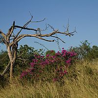2012-05-10 07-57-26