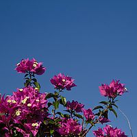 2012-05-10 07-58-08