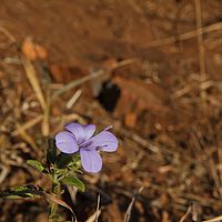 2012-05-10 08-47-33