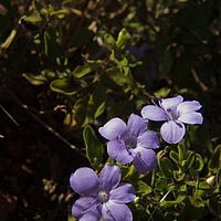 2012-05-10 08-50-00