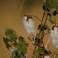 2012-05-10 15-23-22