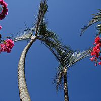 2012-05-16 12-01-51