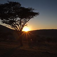 2012-05-01 06-31-49