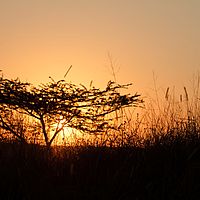 2012-05-09 16-58-05