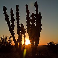 2012-05-10 16-58-46