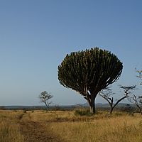 2012-05-11 08-05-45